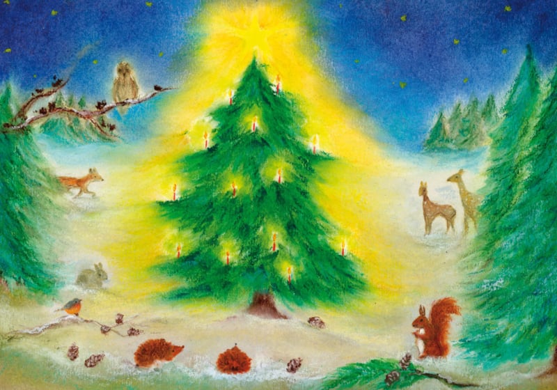 Ansichtkaart | Kerstfeest in het bos