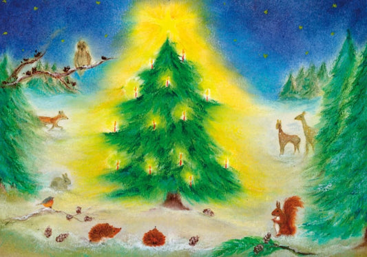 Ansichtkaart | Kerstfeest in het bos