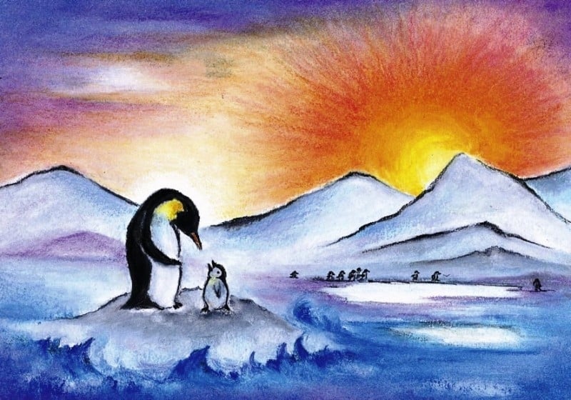 Ansichtkaart | De pinguïn