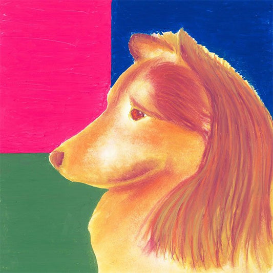 Raamkrijt | Nieuwe Kleuren (6) (op = op)