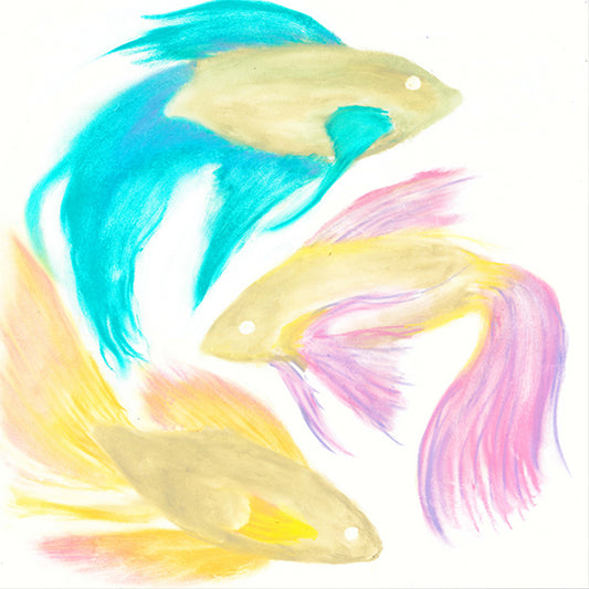 Raamkrijt | Pastelkleuren (6)