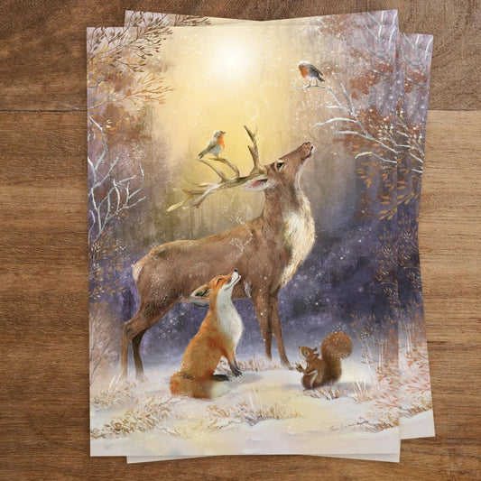 Ansichtkaart | Winter Wonders