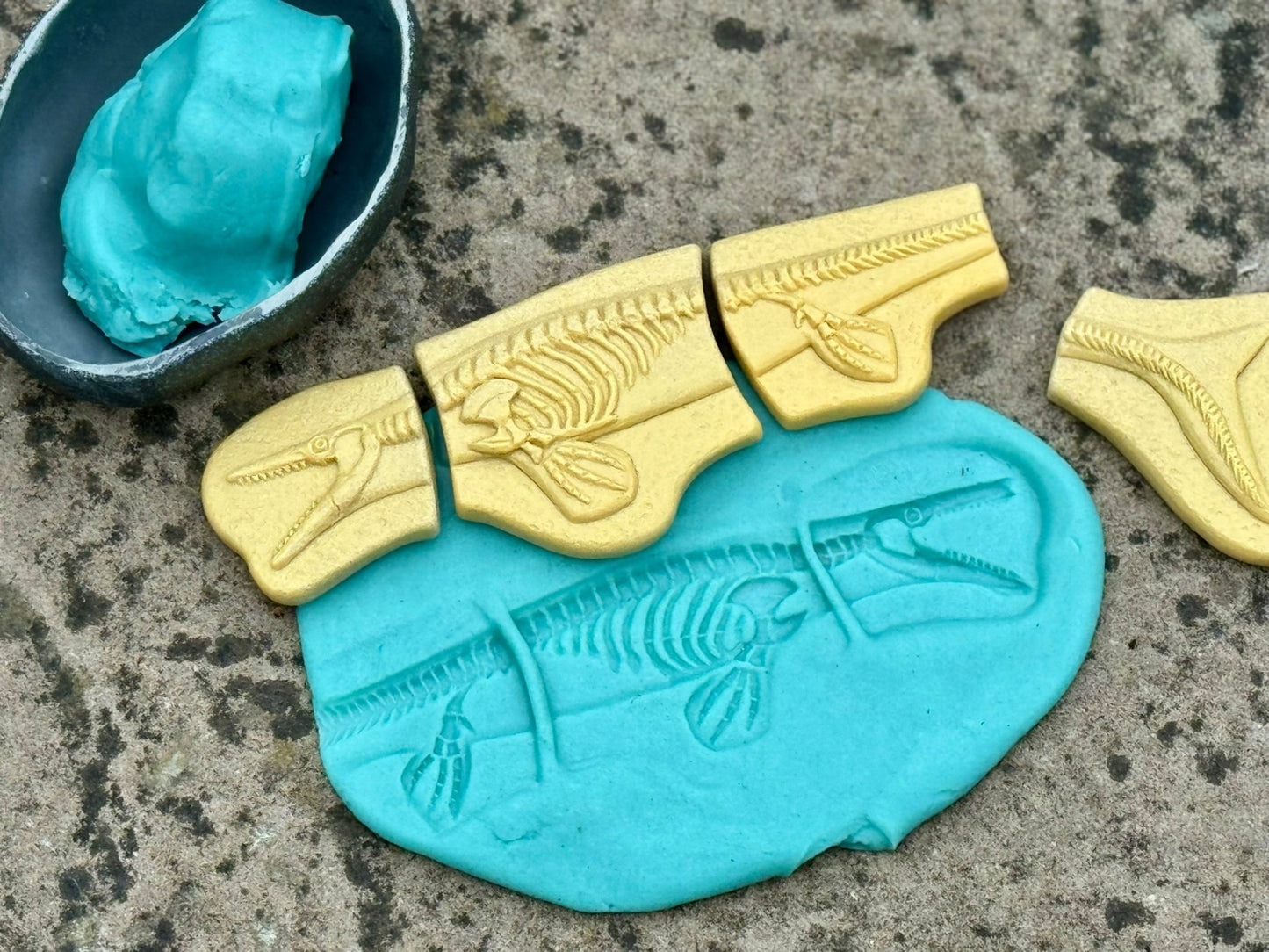 Dig & Discover | Pliosaur & Stegosaurus