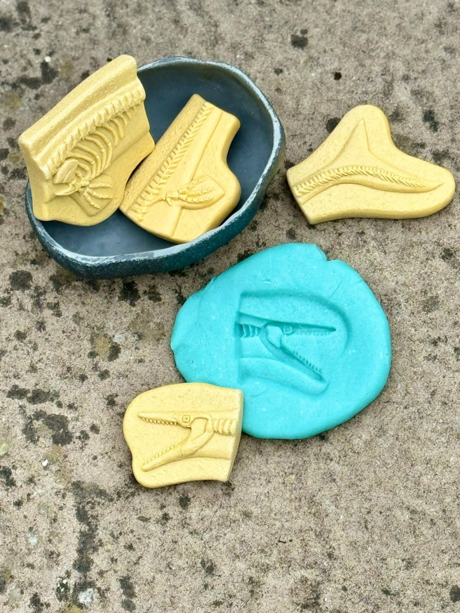Dig & Discover | Pliosaur & Stegosaurus