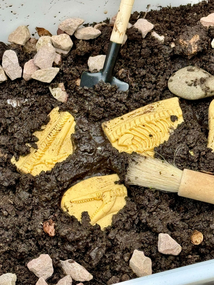 Dig & Discover | Pliosaur & Stegosaurus