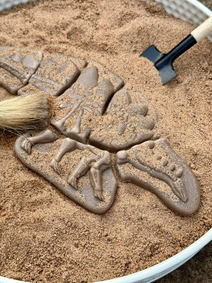 Dig & Discover | Pliosaur & Stegosaurus