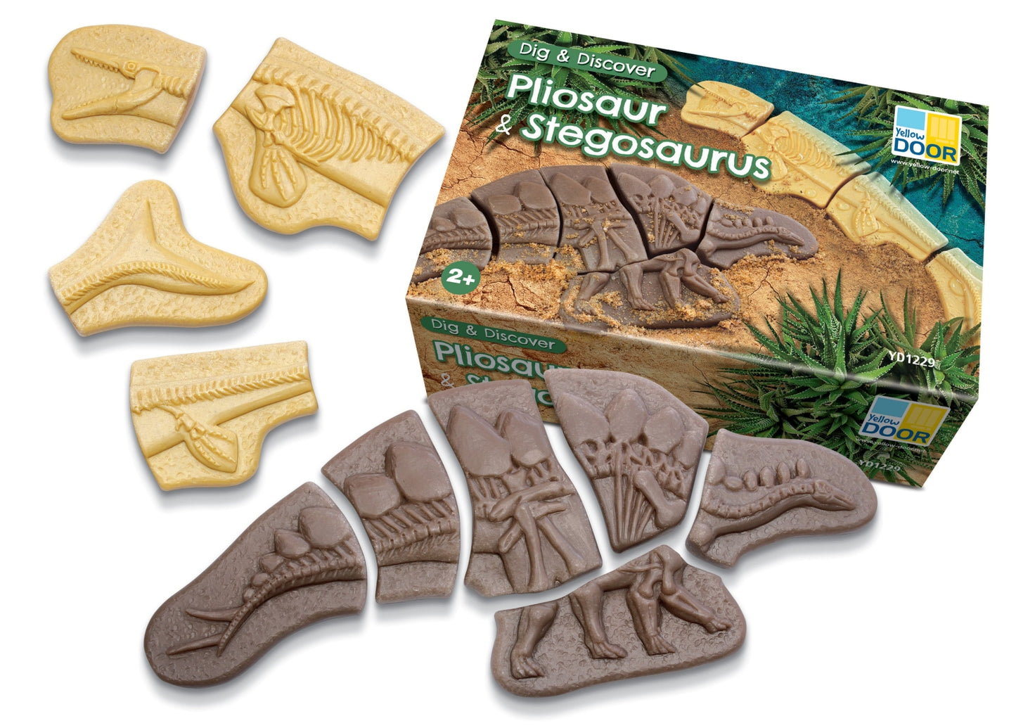 Dig & Discover | Pliosaur & Stegosaurus