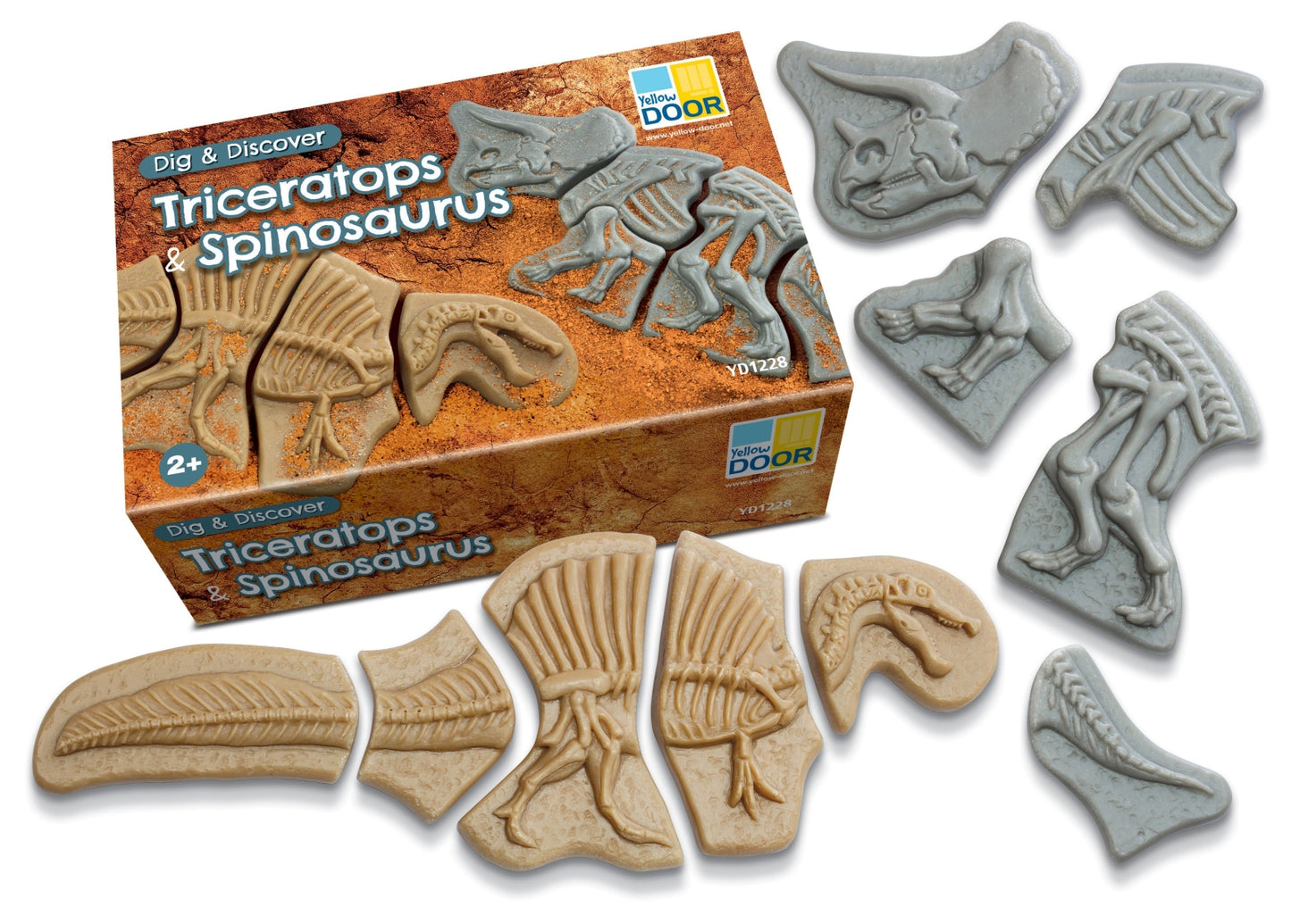 Dig & Discover | Triceratops & Spinosaurus
