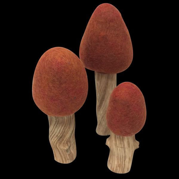 Wolvilten Bomen | Herfst