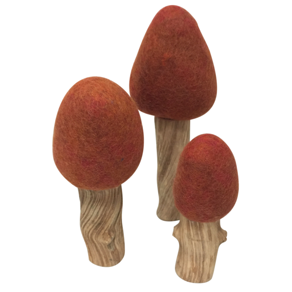 Wolvilten Boom | Herfst