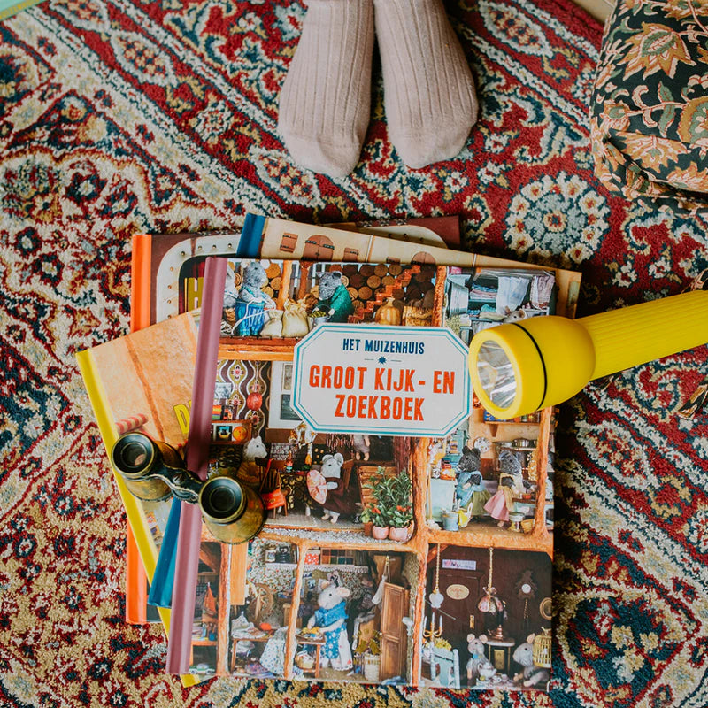 Groot kijk- en zoekboek