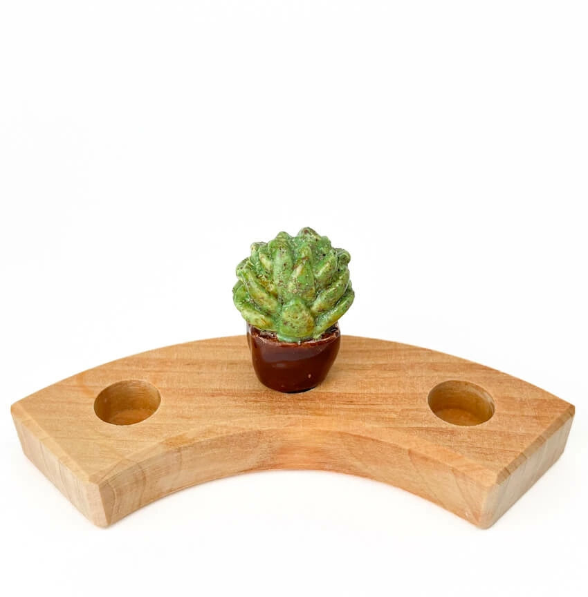 Keramieken Steker | Vetplantje