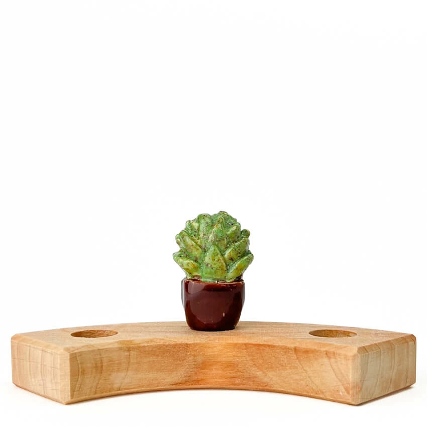 Keramieken Steker | Vetplantje