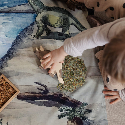 Speeldoek | Dinosaurs