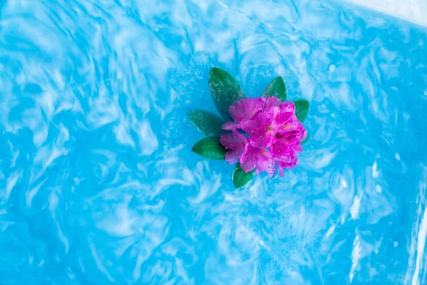 Sensus Lotus Magisch Poeder 'Ocean Blue' 60g (12 sensorische speelbeurten)
