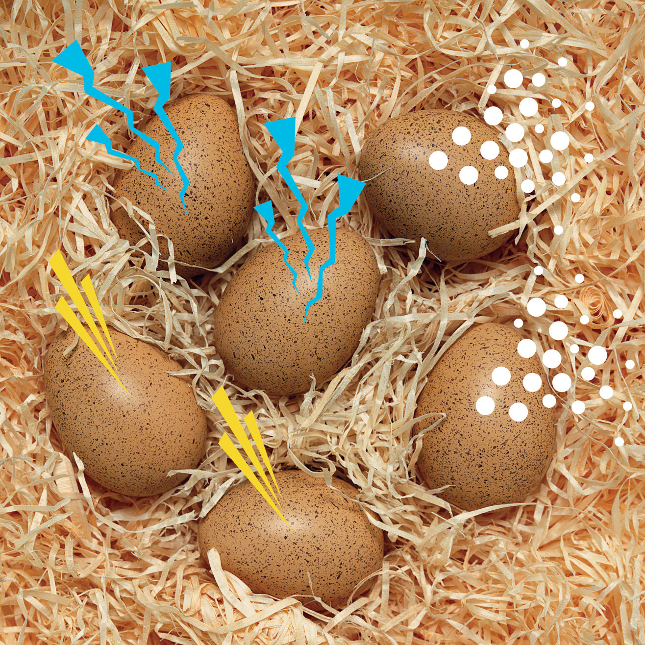 Sensory Sound Eggs (6 eieren, 3 geluiden)