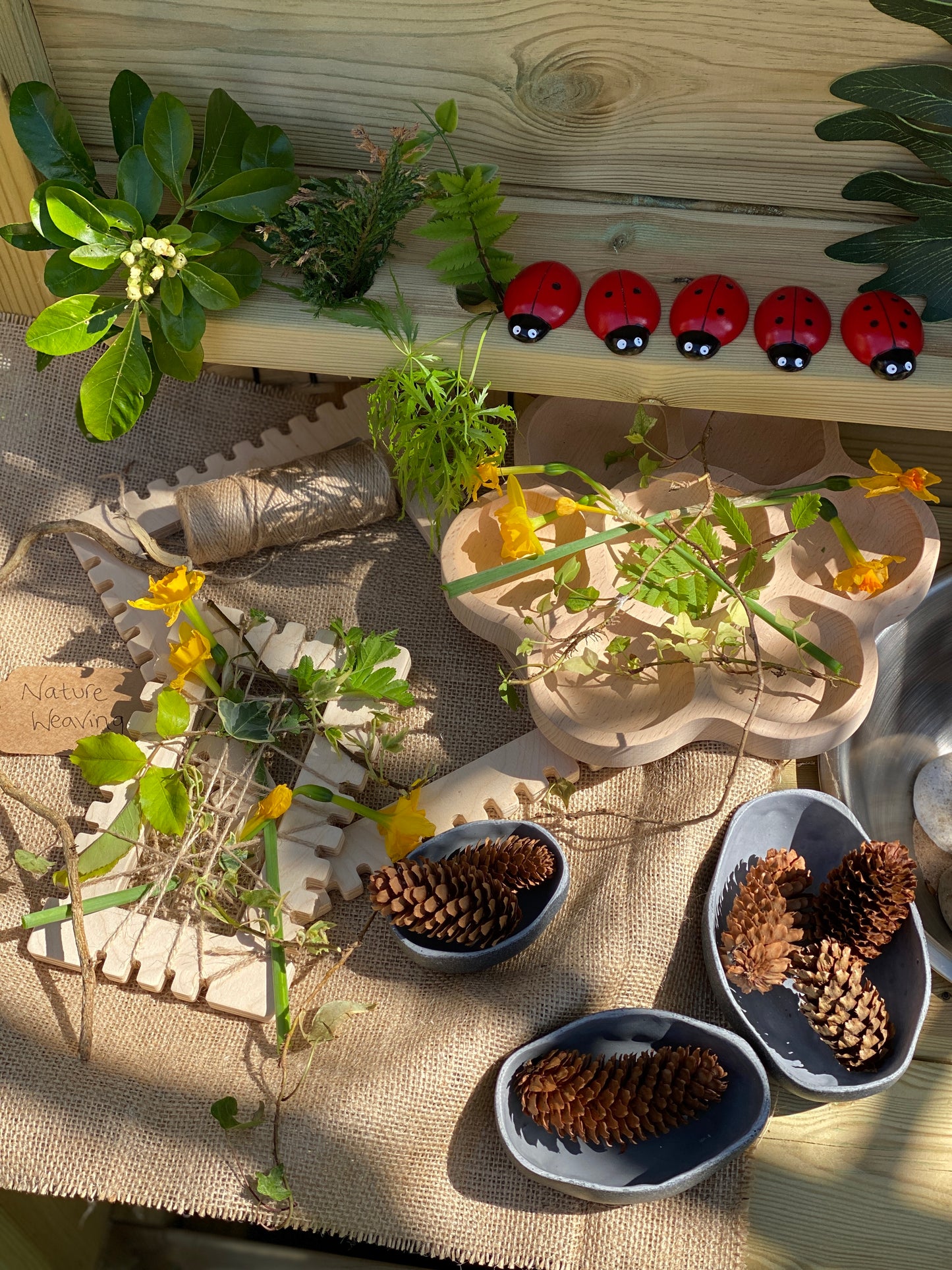 Rustic Bowls