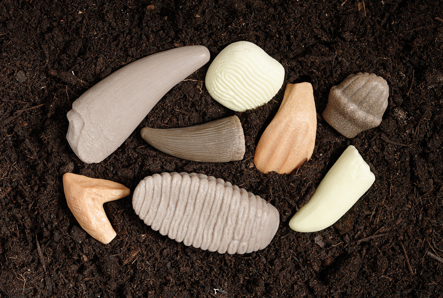 Let’s Investigate 'Prehistoric Teeth' (8 stenen)