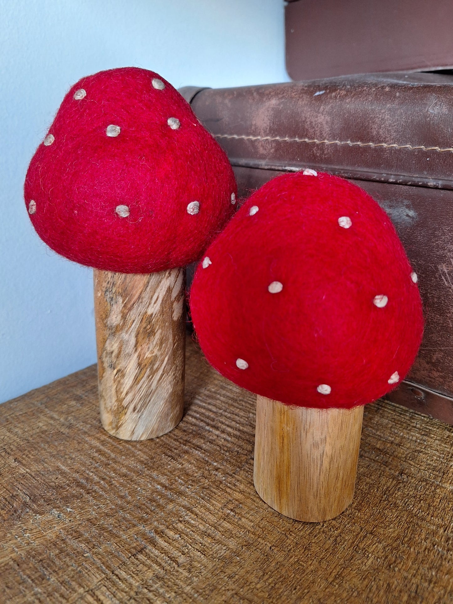 Wolvilten Paddenstoelen