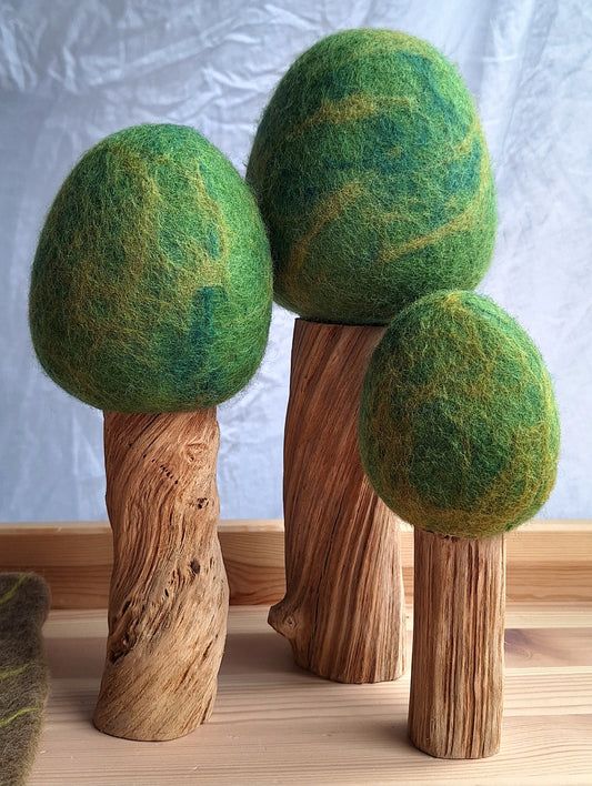 Wolvilten Bomen | Zomer