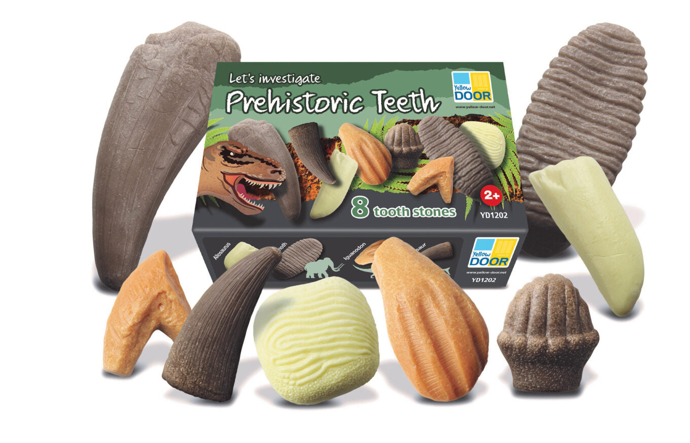 Let’s Investigate 'Prehistoric Teeth' (8 stenen)