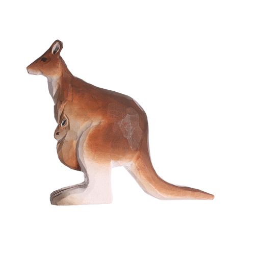 Kangoeroe (met baby in buidel)