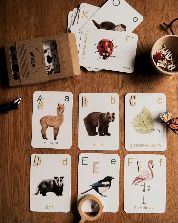 Flashkaarten 'Animalia Alfabetkaarten van het dierenrijk'