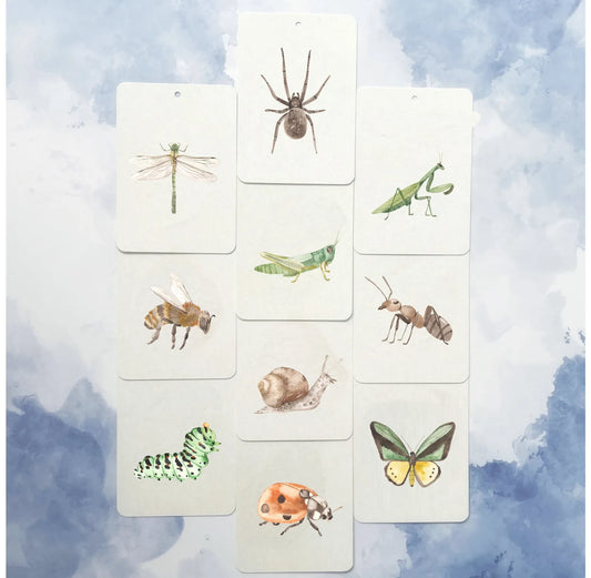 Flashkaarten 'Insecten'
