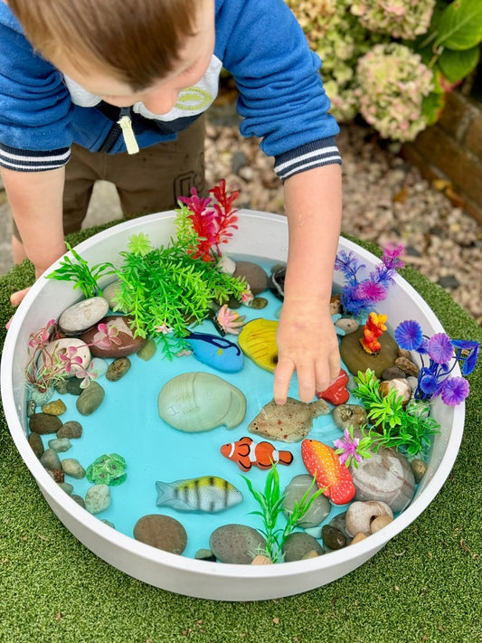 Sensory Play Stones | Fish