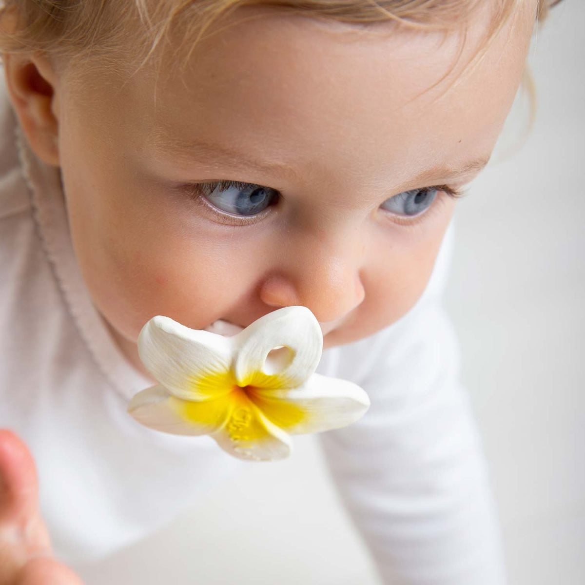 Mini Bijtvorm | Hawaiiaanse bloem
