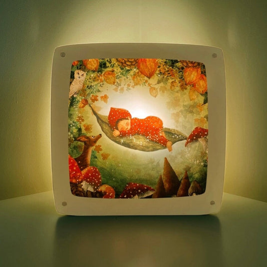 Plaat | Enchanted Forest