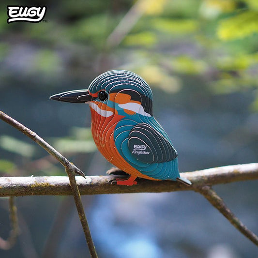 3D model | Ijsvogel