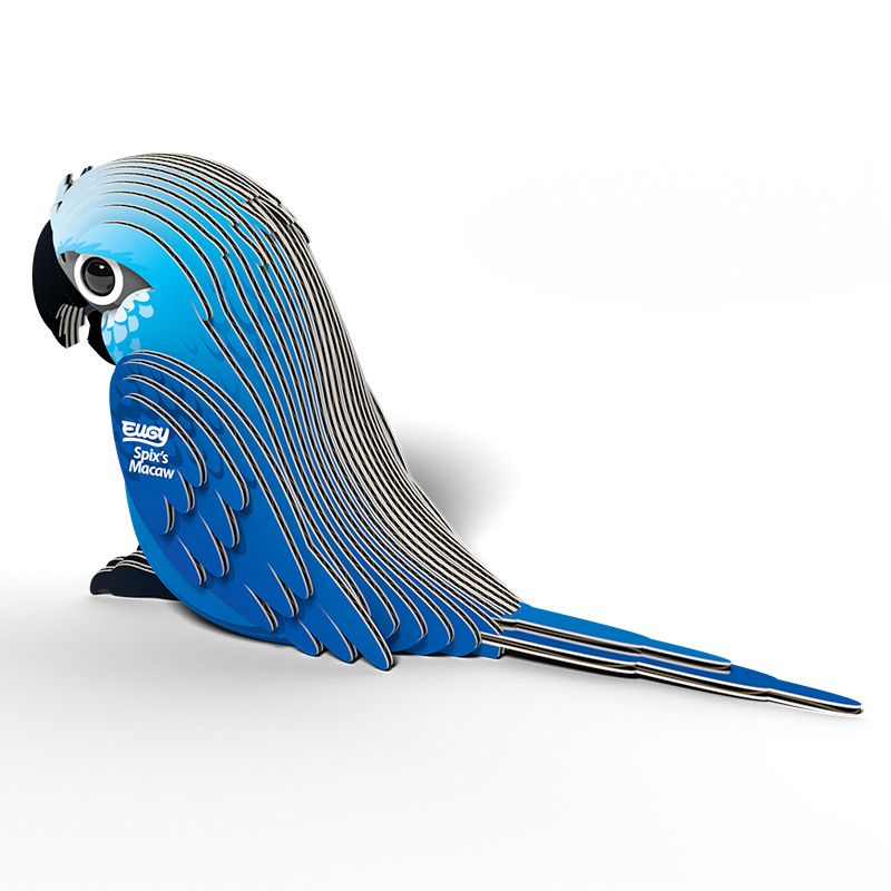 3D model | Ara