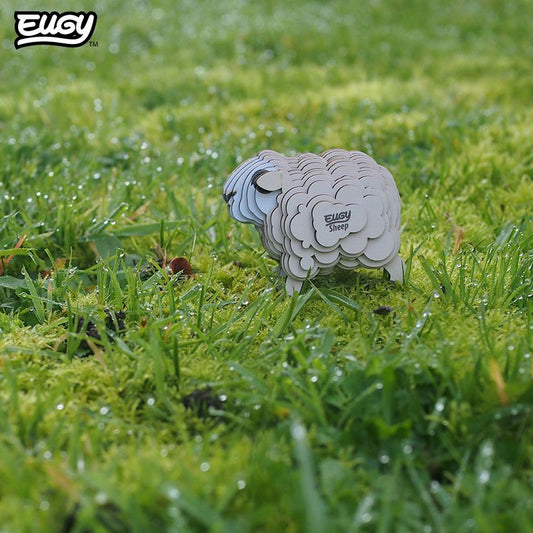 3D model | Schaap