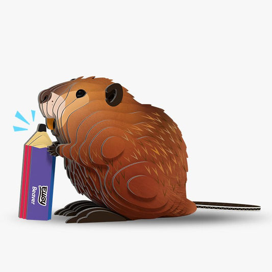 3D model | Bever