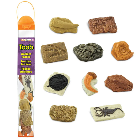 TOOB | Fossielen