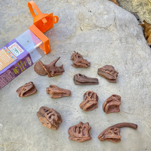 TOOB | Dinosaurusschedels