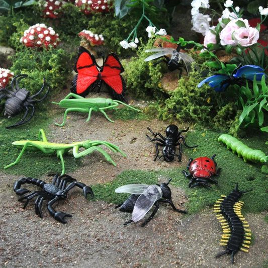 TOOB | Insecten