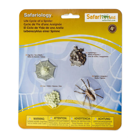 Safariology | Levenscyclus Spin