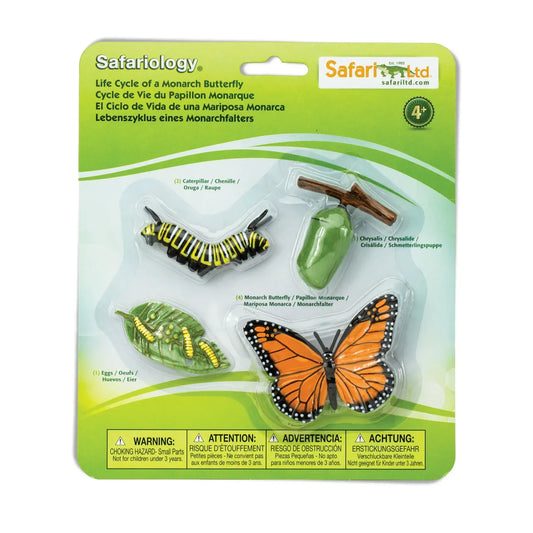 Safariology | Levenscyclus Monarchvlinder