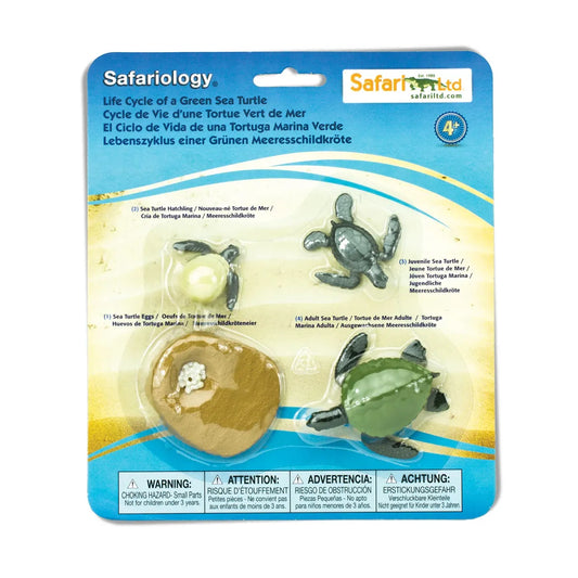 Safariology | Levenscyclus Groene Zeeschildpad