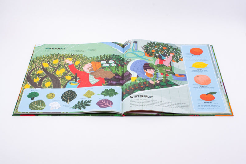 Het grote boek van onze moestuin