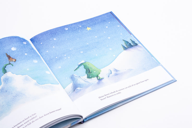 De eerste Kerst van Kleine Boom