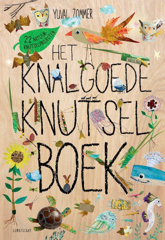 Het knalgoede knutselboek