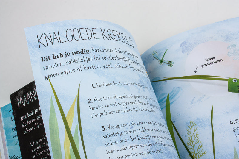Het knalgoede knutselboek