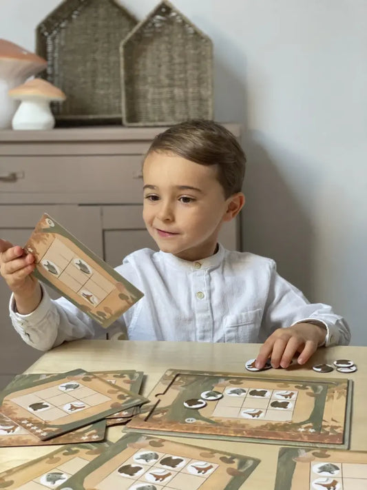 Magnetisch Sudoku (4+)