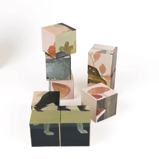Puzzelblokken (3+)