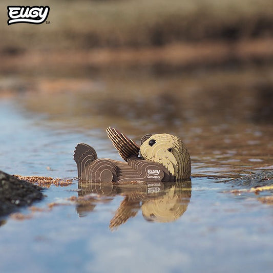 3D model | Zeeotter
