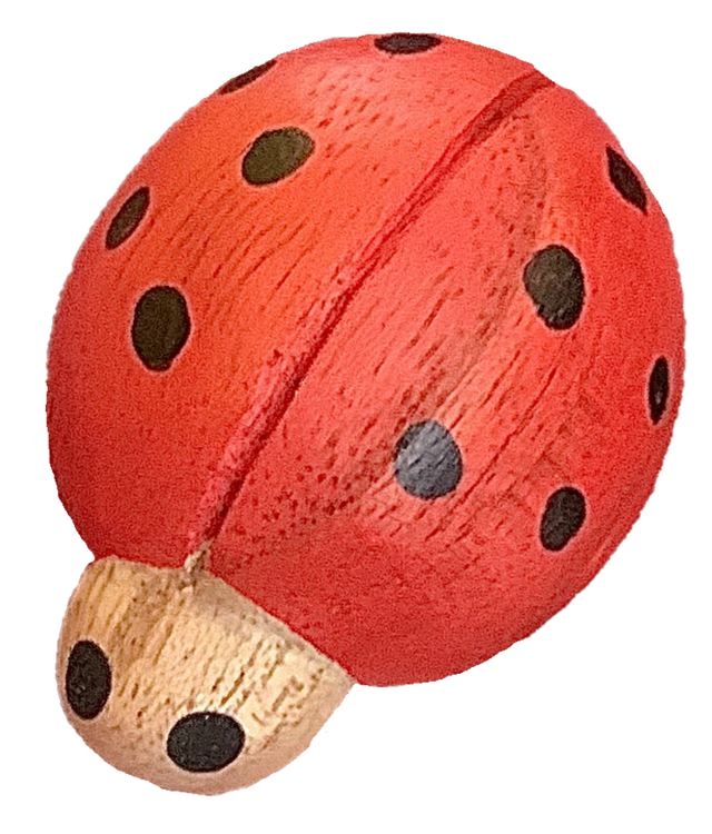 Houten Lieveheersbeestje