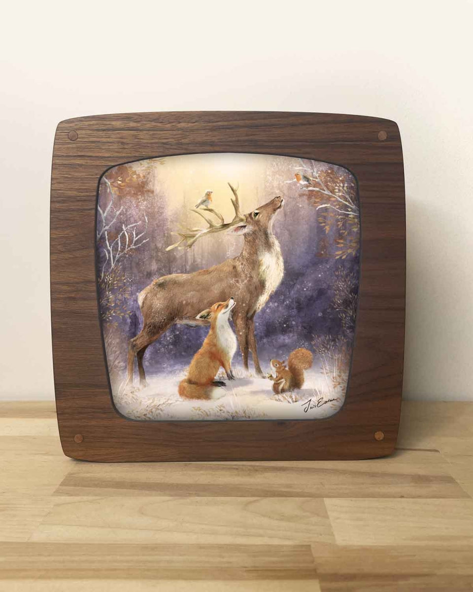 Plaat | Winter Wonders